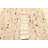Sienna Tan Rug 5'1" x 8'0"