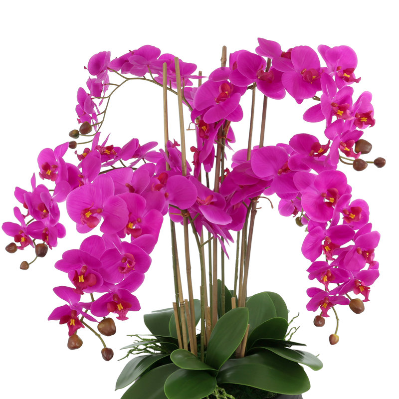 Orchid Centerpiece in Ceramic Pot, Pink