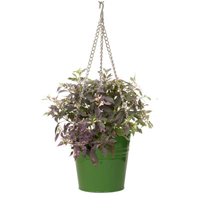 Abbie Metal Hanging Planter