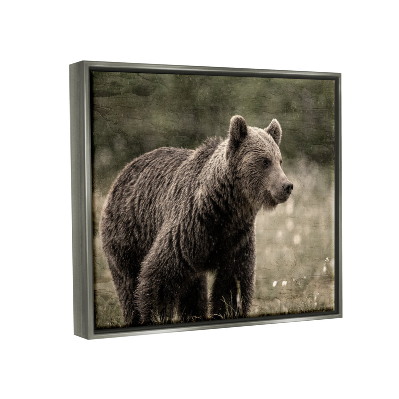 «Brown Bear Wildlife», reproduction sur toile, H 25 po x l 31 po x P 1,7 po, Cadre flottant gris lustré