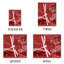 Polyester Duvet Cover-35580592-35580598