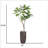 81.25'' Faux Fiddle Tree Tree in Pot