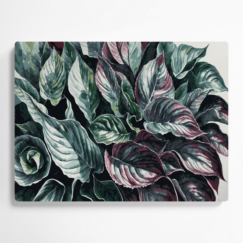 Botanique, bégonia Rex, art mural en métal noir, H 11 po x l 14 po