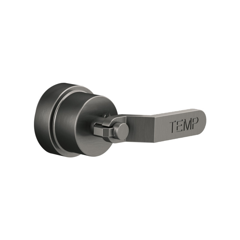 Litze Valve Trim with Handle and Mixing Cartridge, Industrial Lever, Luxe Steel