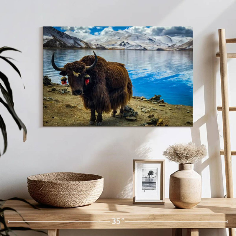 Yak tibétain, H 16 po x l 24 po