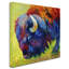 Modern & Contemporary-21936283