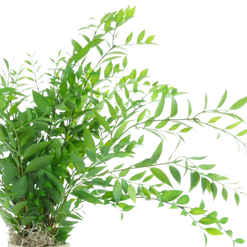 Feuille de Bayberry dans un vase Fiberstone
