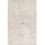 Hand-Knotted High-Quality Beige Area Rug