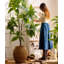 Pot à fleurs en ciment-1724577672