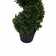 Artificial Potted Green Boxwood Spiral Tree