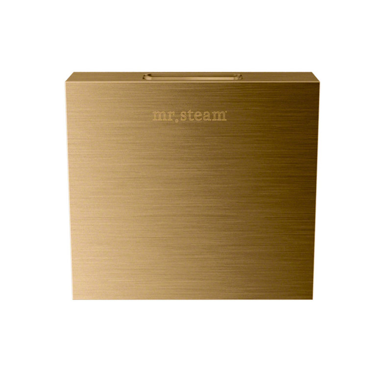 Steam Generator Control, Brushed Bronze