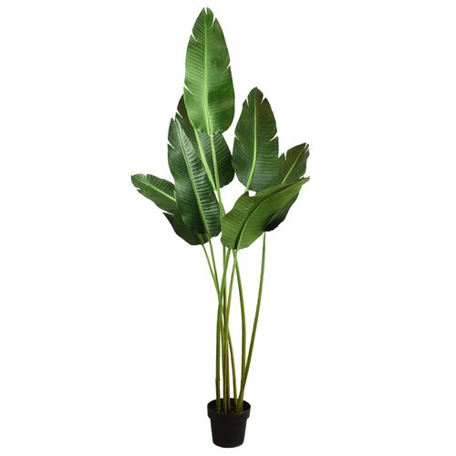 Birch Lane™ 78'' Faux Banana Leaf Tree in Pot & Reviews | Wayfair