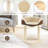 Cynthiaann Cat Perch-842746400