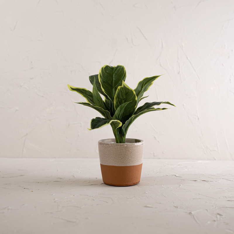 Handmade Pot Planter