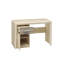 Skelton Writing Desk