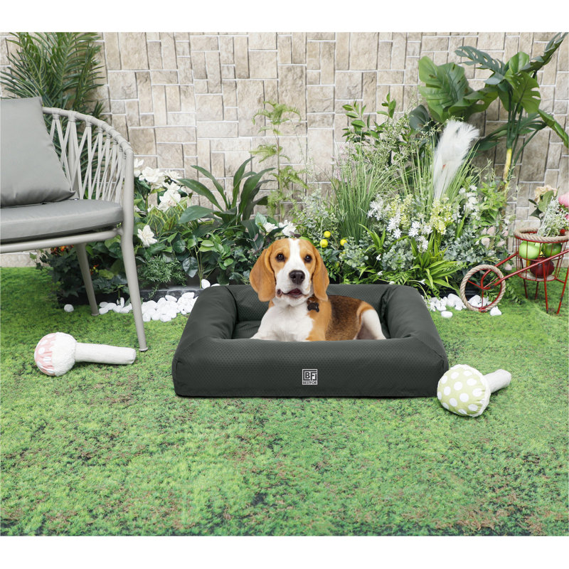 Talli Orthopedic Pet Bed, 10cm H x 51cm W x 76cm D