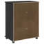 Solid Wood Rectangle Accent Cabinet-1594368527