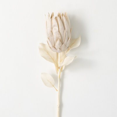 Rich Sienna Protea Sprays