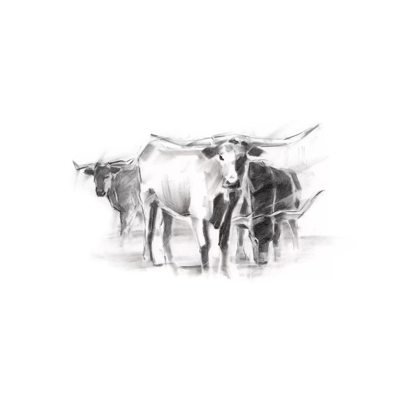 Contemporary Cattle II by Ethan Harper - Wrapped Canvas Print, 20.32 cm H x 30.48 cm W