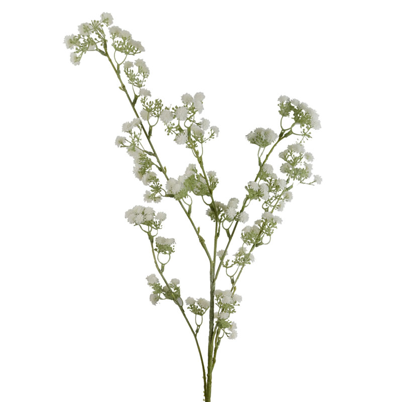 Aneris Arrangement