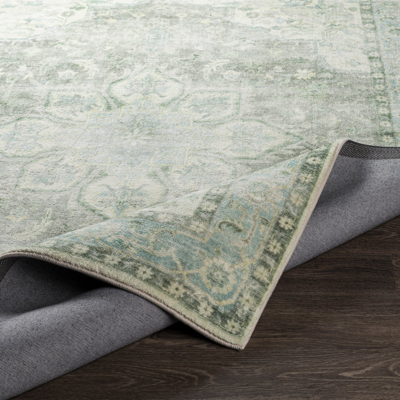 Oriental Indoor Rug, Rectangle 2'6" x 4'