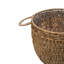 Pot Planter