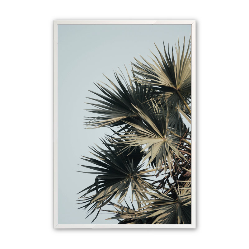 Barrick Sky High Palms - impression d'un seul cadre photo, H 14 po x l 11 po x P 1,25 po, Blanc opaque