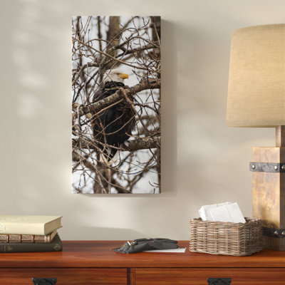 " Bald Eagle and Trees " Print