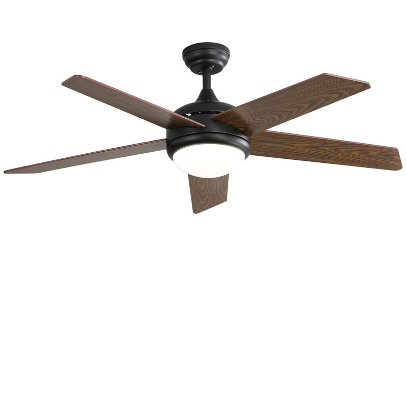 Ceiling Fan with LED Lights