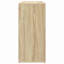 Shoe Cabinet-1022872562