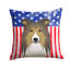  Coussin 14 "American Flag-1560286184-1560604464