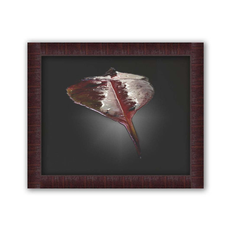 Leaf in Space par Hal Halli. Impression sur papier - Montée et encadrée, H 36 po x l 44 po