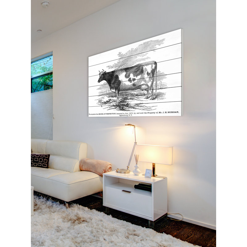 « ayrshire model », impression sur bois, 30 po x 45 po