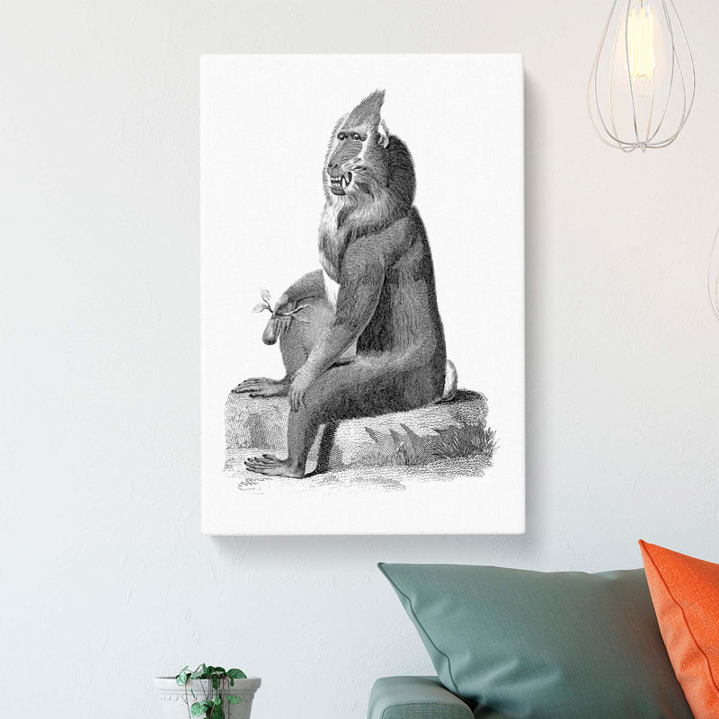 Baboon In Black & White by George Shaw - Wrapped Canvas Print, 60cm H x 40cm W x 3cm D