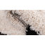 Tapis ivoire Okeelanta-1489459822