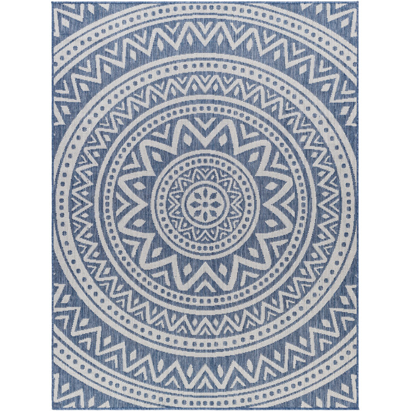 Oriental Indoor / Outdoor Rug, Rectangle 5'3" x 7'