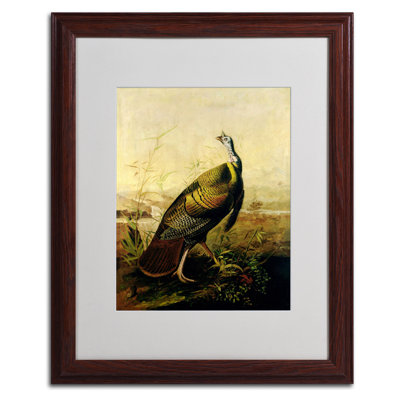« american wild turquie robinet » par john james audubon, reproduction d’art encadrée