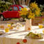 Springfields Handmade Floral Tablecloth