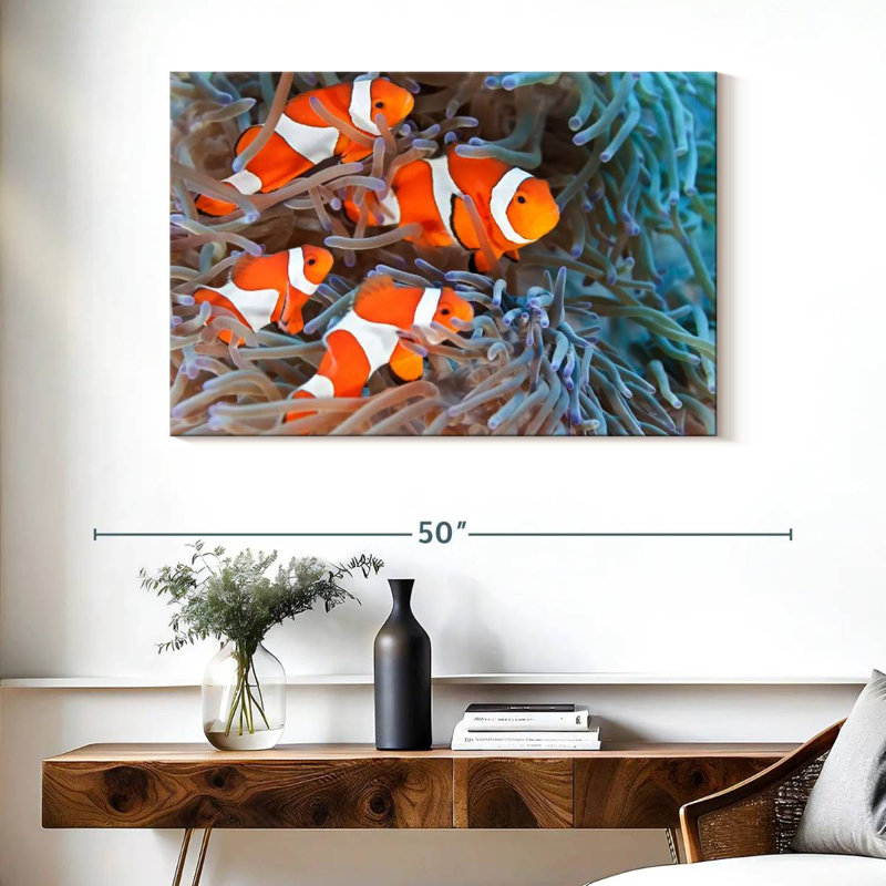Crowle Clown Fish, 26" H x 39" W