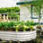 2pcs Galvanized Raised Garden Bed Kit - Heavy Duty Rust-resistant Metal Planter For Outdoor Vegetables/flowers/herbs, All-in-one Easy Assembly-953249654