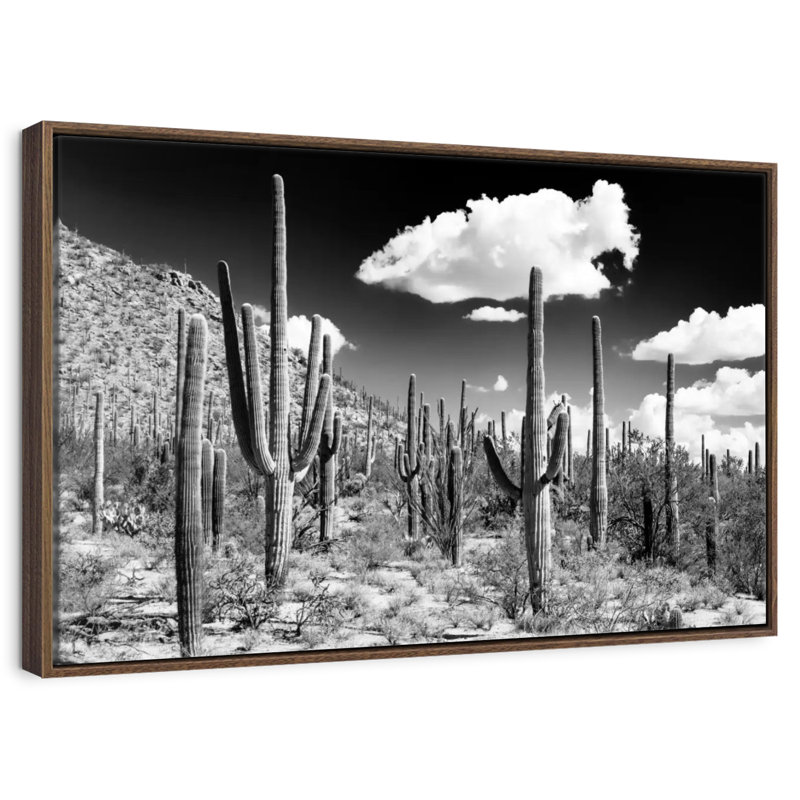 Arizona noir - forêt de cactus, 25 po x 17 po, Cadre flottant noyer