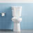 Elongated Two Piece Toilet 21 Inch Raised Seat Comfort Height Toilet Ceramic Construction with Excluded Lid Side Press Flush White