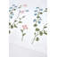 Gardenia Cotton Blend Floral Duvet Cover Set-124538000-124538002