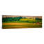 Country Meadows by Don Schwartz - Panoramic Gallery-Wrapped Canvas Giclée on Canvas-21471646-74621103