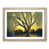 Oak Framed