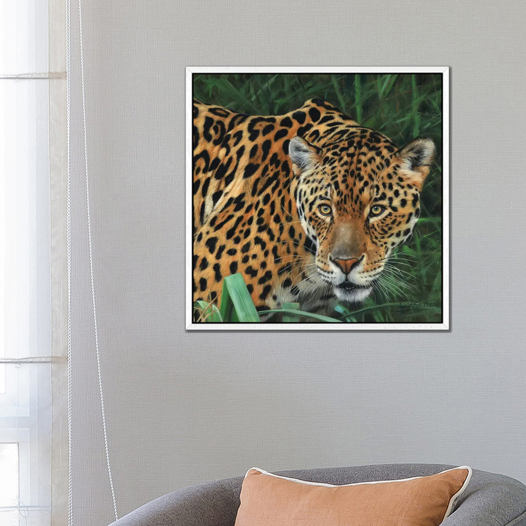 Jaguar Big Cat II von David Stribbling - Galerie- Giclée auf Leinwand