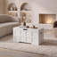 Large Storage Ottoman Bench Modern Storage Chest with Lift-Up Lid for Bedroom Living Room & Hallway -1793794864