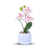 Light Pink n'est pas disponible