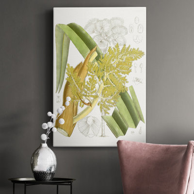 Palmier V - impression sur toile tendue