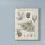 «Woodland Chart III», impression sur toile tendue-33425800